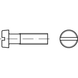 Zylinderschraube mit Schlitz DIN 84 A 4.8 VZ